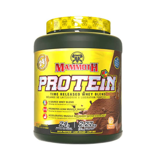 وی ماموت mammoth  - SAYRO FIT