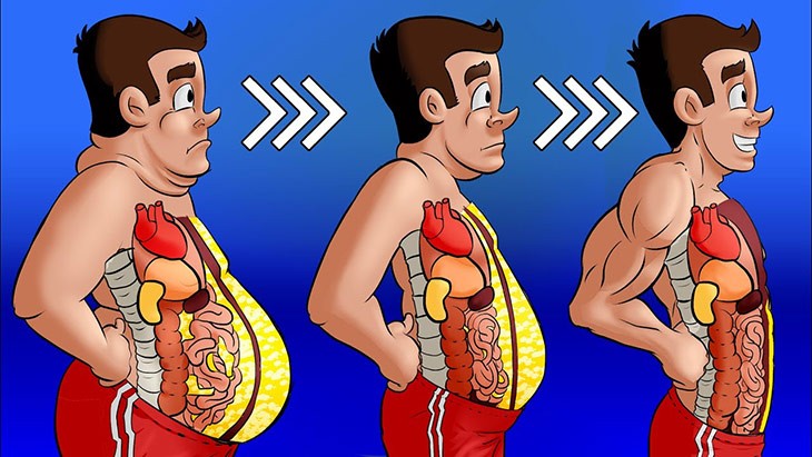 بهترین مکمل ها برای چربی‌سوزی - SAYRO FIT